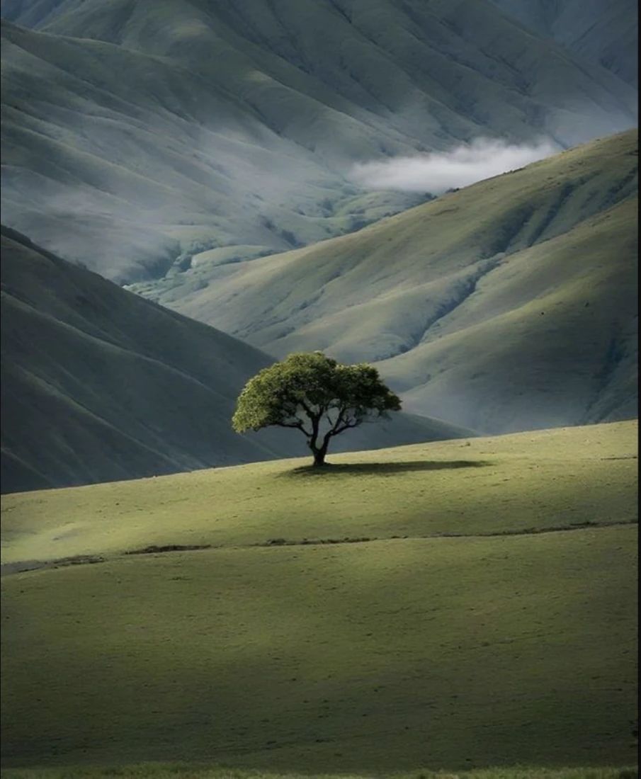 A soft bloom in nature